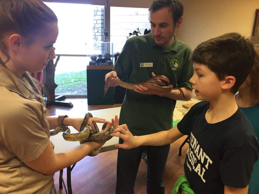 Review of Salato Wildlife Education Center - Louisville Family Fun