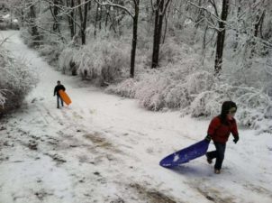 The Best Places for Sledding in Louisville