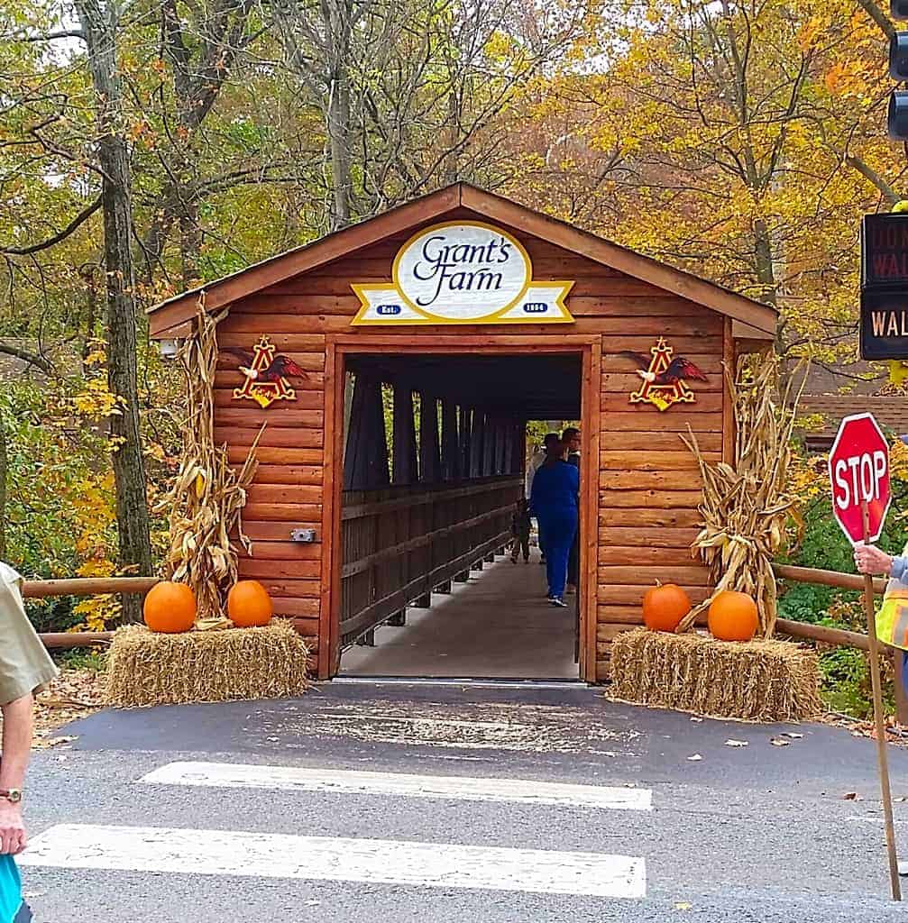 St Louis Vacations For Families