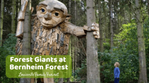 Forest Giants at Bernheim Forest