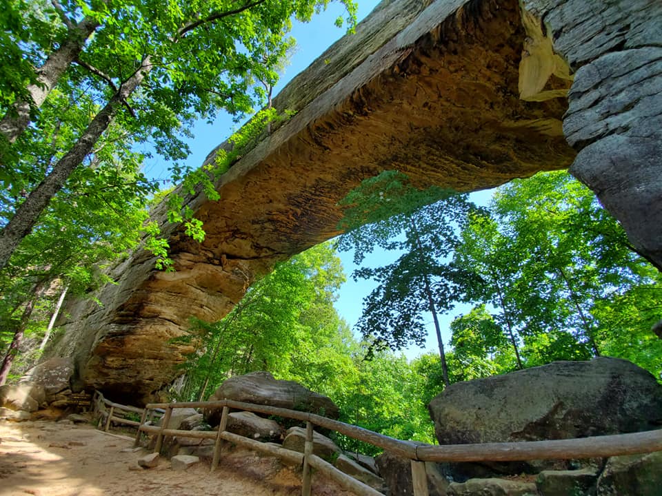 Tips for visiting Red River Gorge and Natural Bridge - Louisville