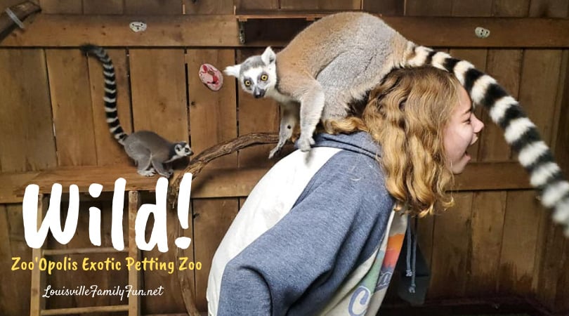 Zoo'Opolis Exotic Petting Zoo in Nashville, Indiana - Louisville Family Fun