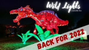 Louisville Zoo Wild Lights returns for 2022