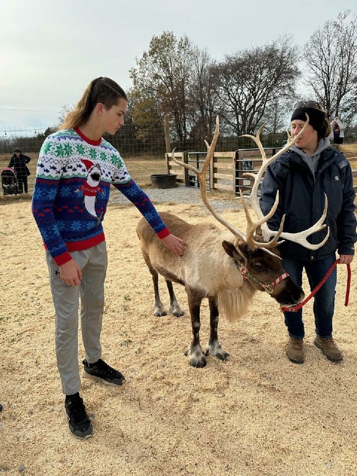 Reindeer farm in Kentucky